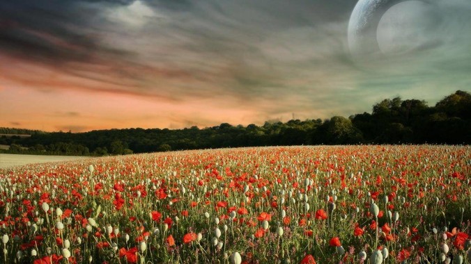 为什么日本经济下降，大学排名跌至谷底，还有那么多人挤破脑袋去日本留学？